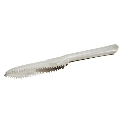 [FSP-9] 9-1/2" Fish Scaler, Stainless Steel